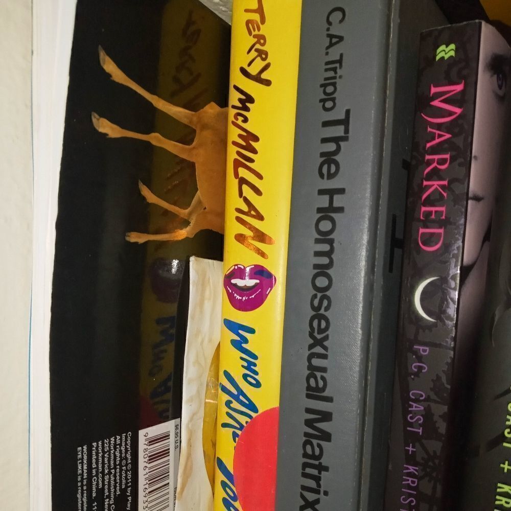 5 Books bundle